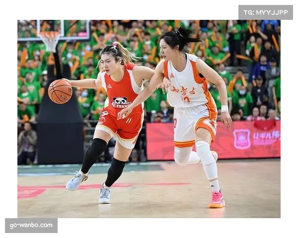 大连文体旅女篮公布WCBA常规赛赛程 12月2日迎来首战